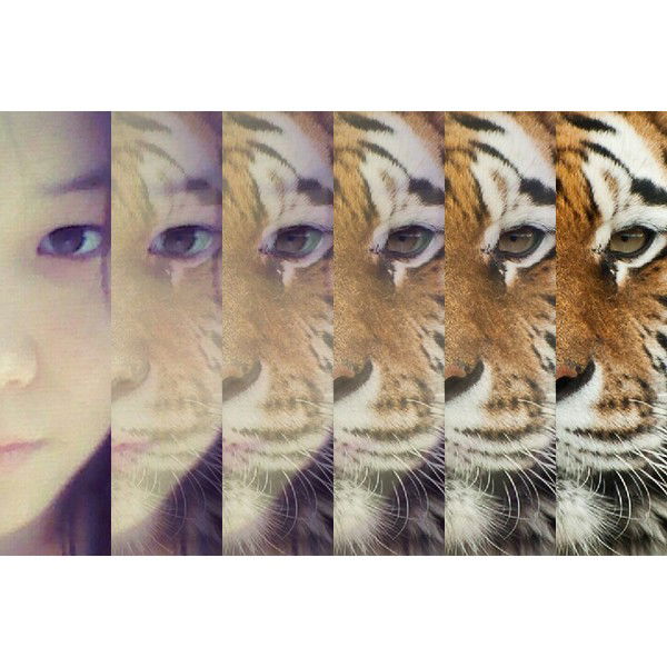 ......... .............