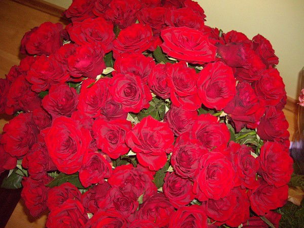 Солнышко Осинцева