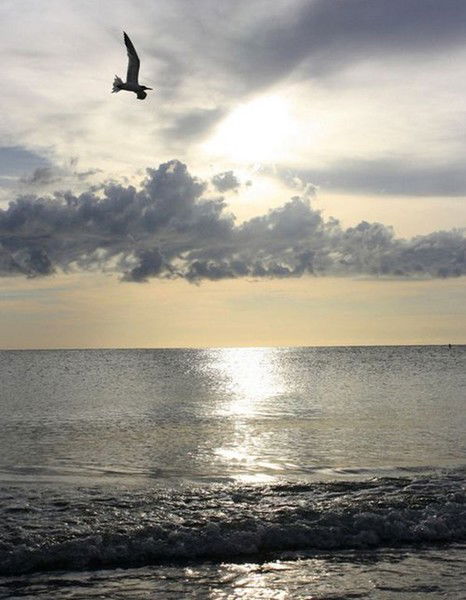 Булат Тулегенов