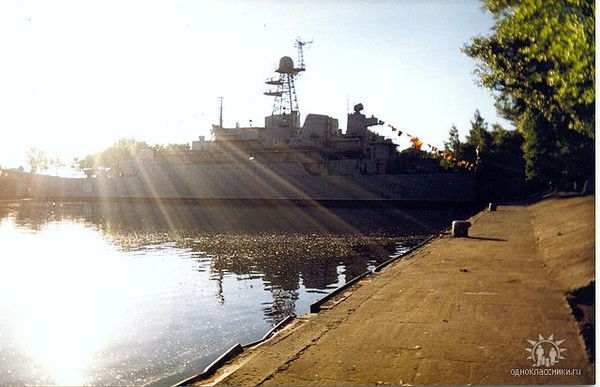 Александр Стародубцев