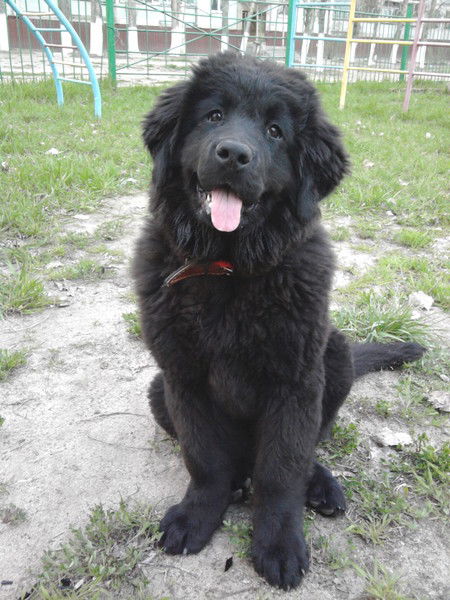 Сергей Дубинин