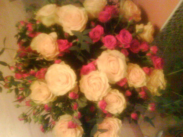 Татьяна Шевченко