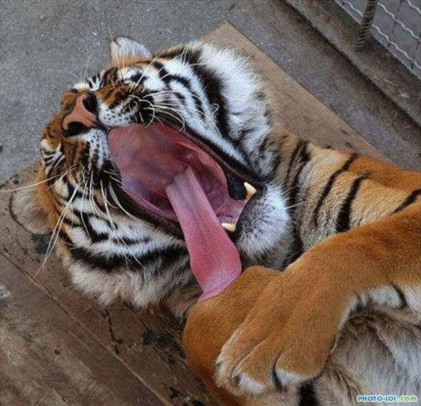 Андрей Марченко