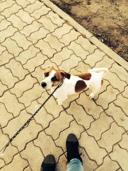 Екатерина Шестакова