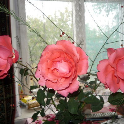 Светлана Близнюк