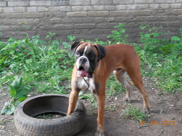 Кирилл Иванов