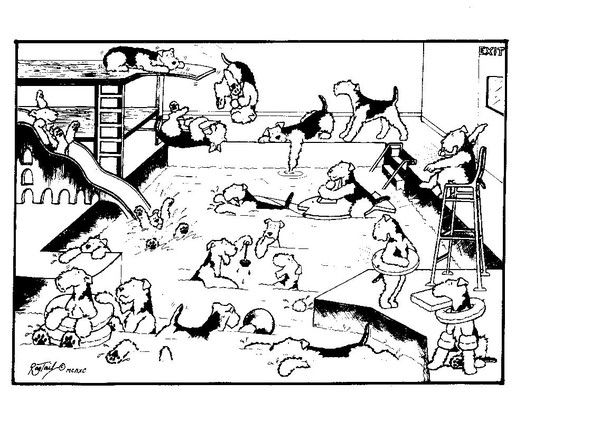 Анастасия Брякина