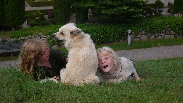 Алекс Смехов