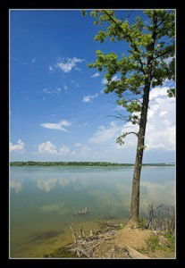 Мария Принцметалл