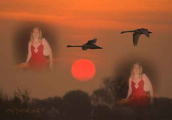 Елена Сухоцкая