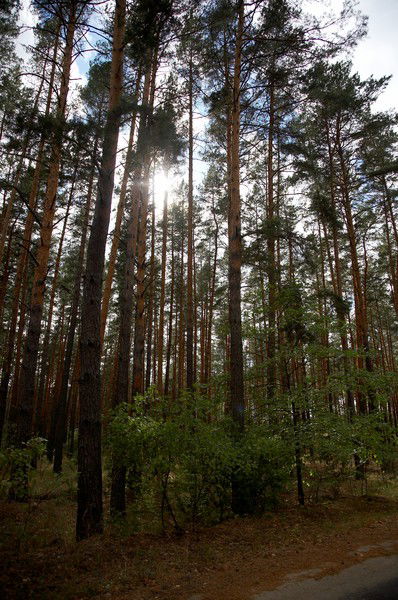 Наталья Акимова