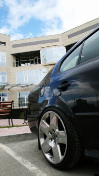 Алексей Моисеев