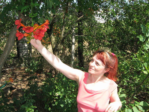 Света Николова