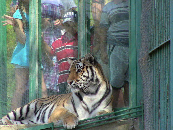 Саша Миньков