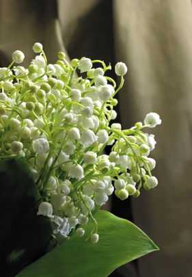 Галина И Оксана Климовы