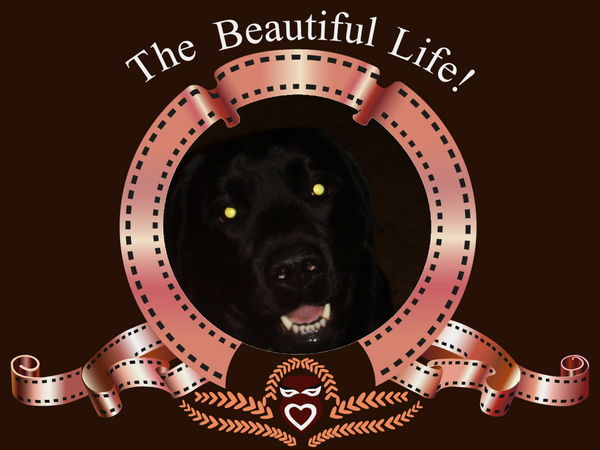 Евгений Глазков