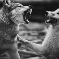 Анастасия Назарова