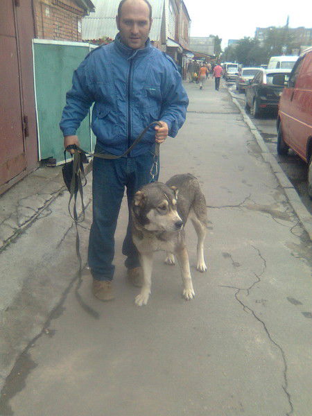 Саркис Исаян