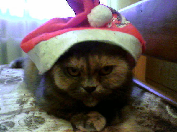 Илья Котляров