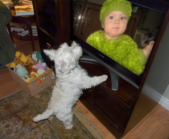 Тамара Филимончик