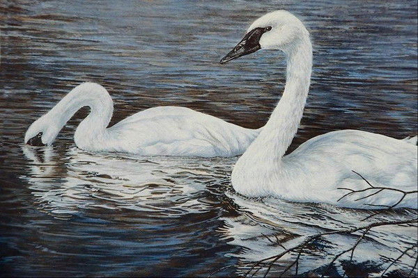 Юлия Валерьевна