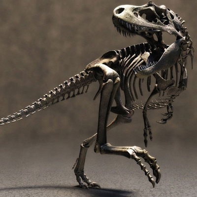 Даша Антонова