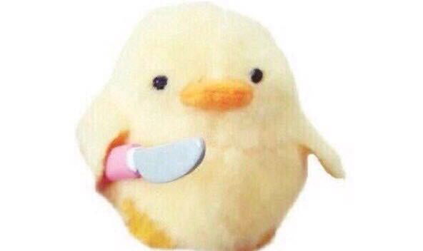 Дина Куртаева