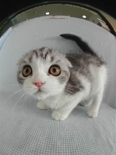 Татьяна Худякова