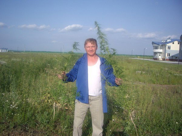 Алексей Алексеев