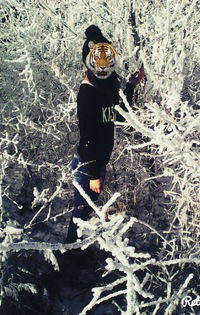 Мария Медведева