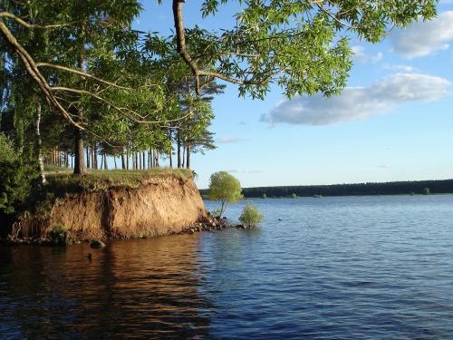 Игорь Кондратюк