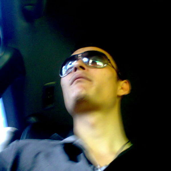 Владимир Лебедев