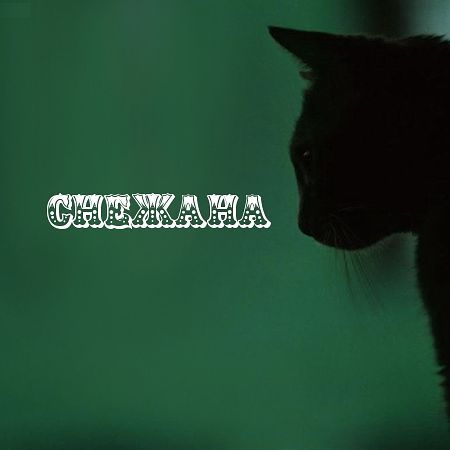 Буланова Снежана