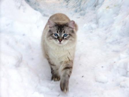 Анжела Гейдер