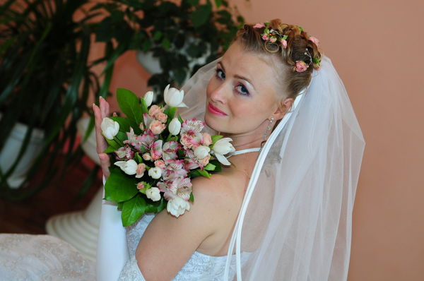 Елена Драчевская