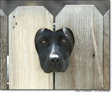 Владимир Галунов