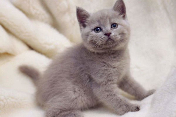 Татьяна Друмова