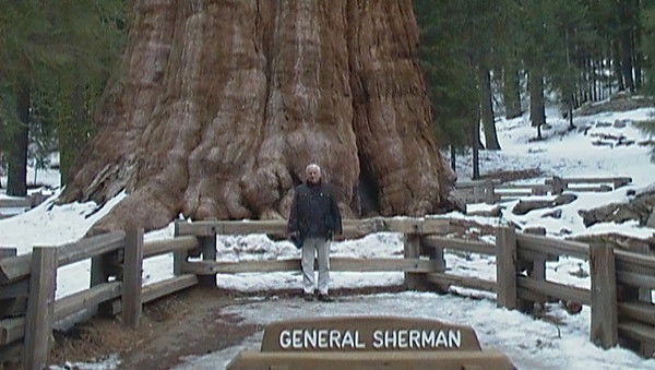 Юрий Анисимов