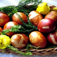 Андрей Чирцов