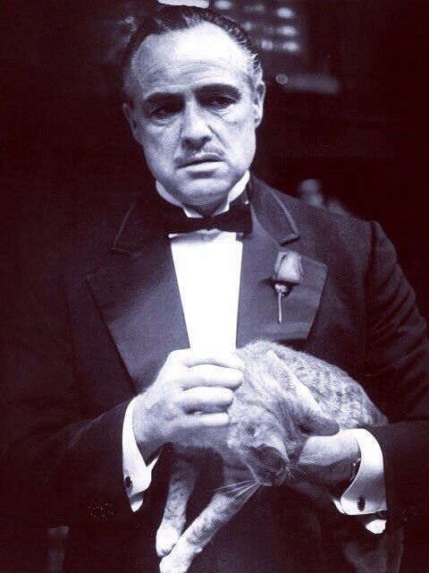 Станислав Юрьевич