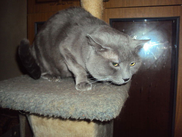 Владислав Лемин