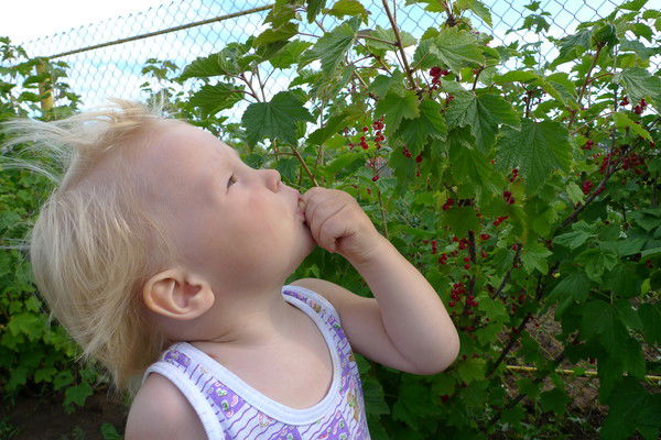 Наталья Каштанова