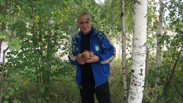 Николай Заблоцкий