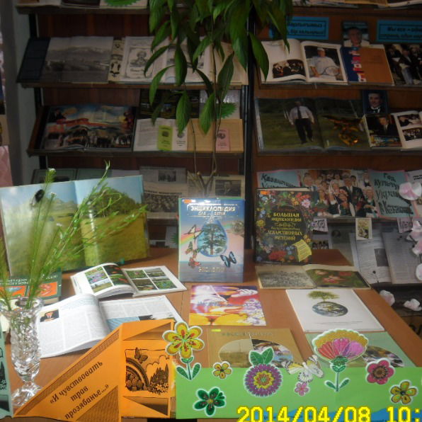 Библиотека Филиал №3