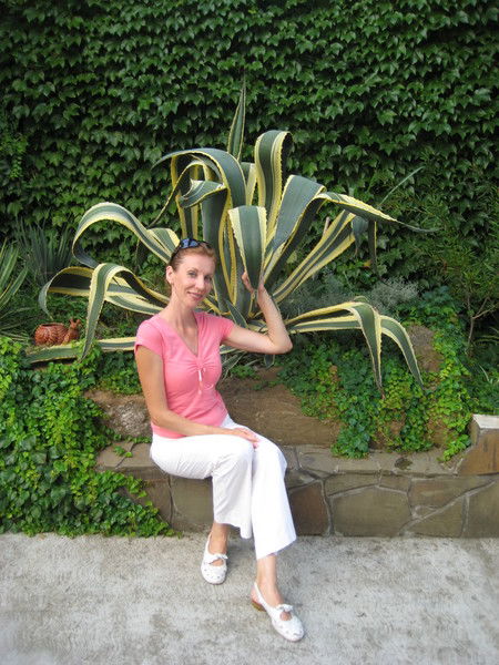 Елена Ильина