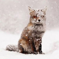 Катерина Кот