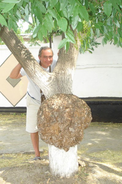 Сергей Белов