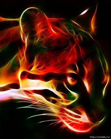 Дмитрий Богданов