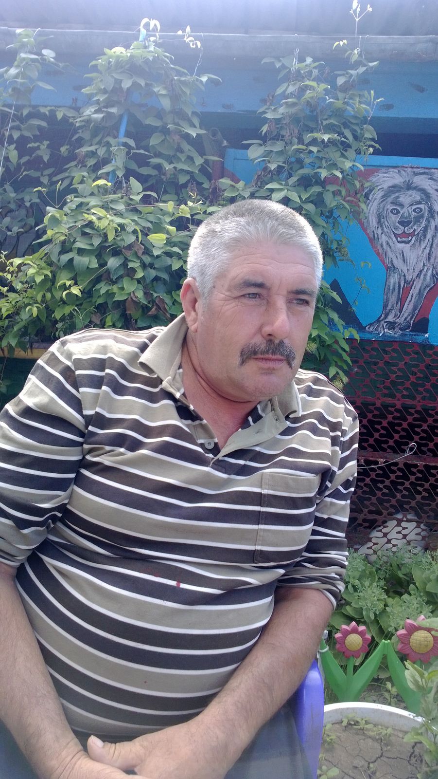 Николай Пенягин