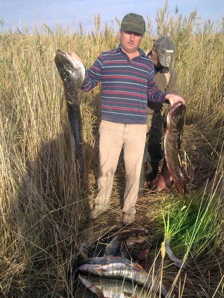 Владимир Ружейников